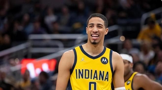 地上种植榴 地上种植榴