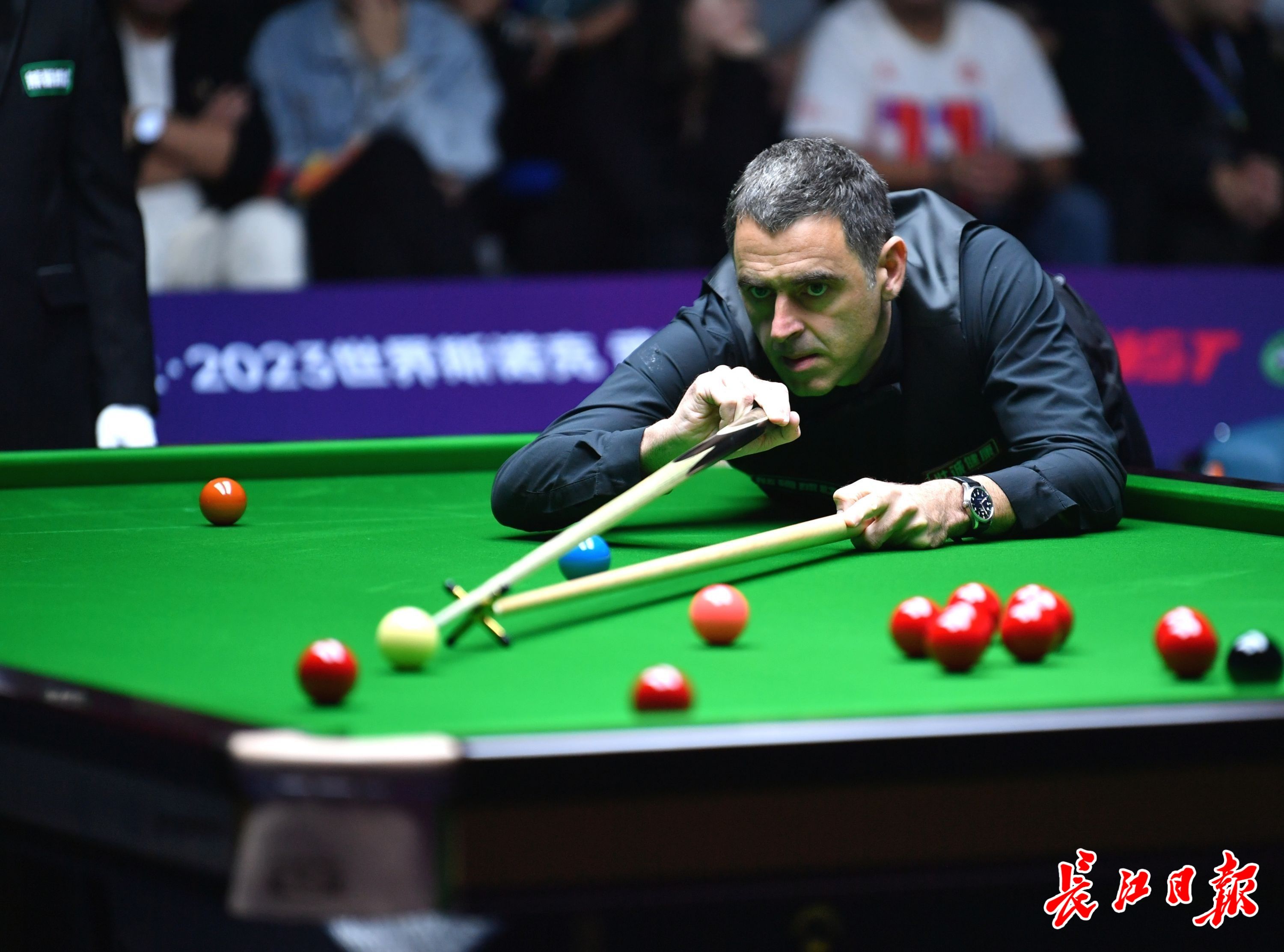 会在一夜之 会在一夜之